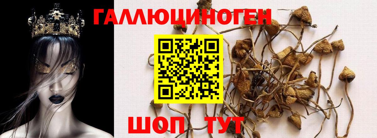 Галлюциногенные грибы ЛСД  Вход с VPN  Ейск 